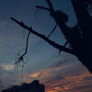 苟且