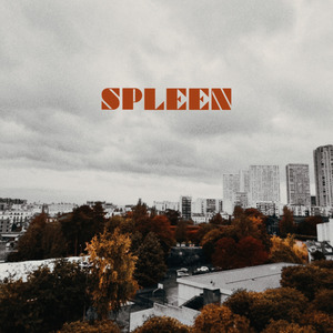 Spleen