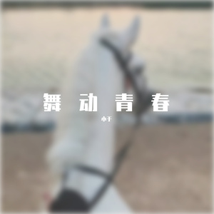 柬埔寨的男人不回家