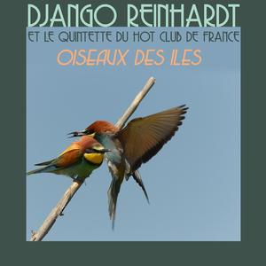 Oiseaux Des Iles