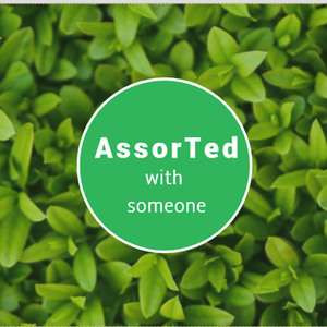 一封没有回应的情书(通用版)