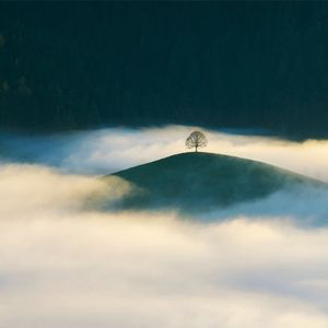 樱花坠落的速度