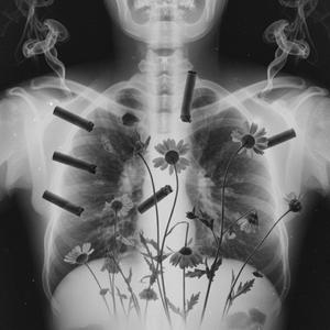 Sırtımda Kış Taşıyorum