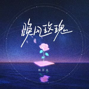 晚风玫瑰（伴奏）