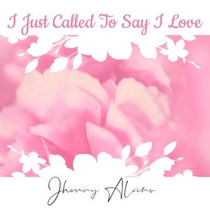 I Just Called To Say I Love You