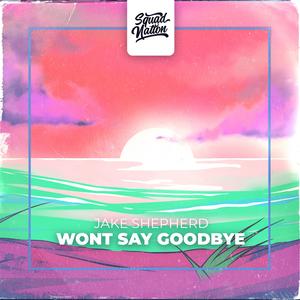Wont Say Goodbye