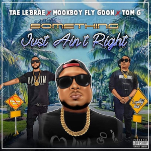 Something Just Aint Right (feat. Mook Boy Fly Goon & Tom G)