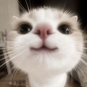 Wish You Were Sober (Sped up)