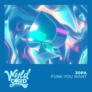 Funk You Want (Radio Edit)