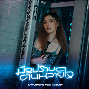 มือปราบคนหลายใจ