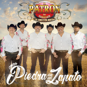 Como Una Piedra En Mi Zapato