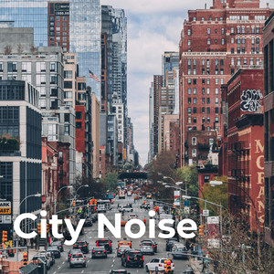 Brooklyn Traffic Noise