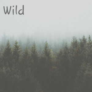 Wild