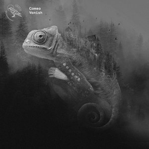 Vanish (Tobias. Remix)