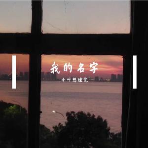 我的名字