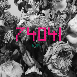 74041