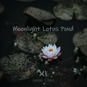 Moonlight Lotus Pond(荷塘月下)