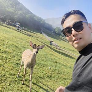 红桃K