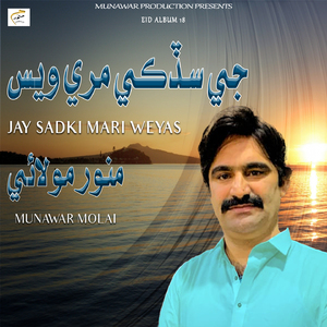 Aj Sehwani Sarkar Tay