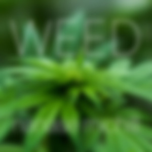 WEED