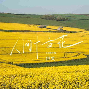 人间十亩花 (DJ翊轩版)