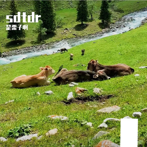 时光逆旅