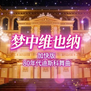梦中维也纳（加快版）ViennainDreams