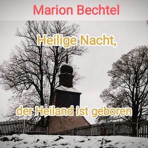 Heilige Nacht, der Heiland ist geboren