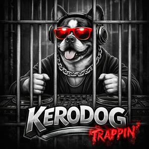 Everyday Little Crazy