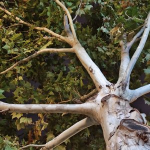 累（泪）prod by KeeradLee