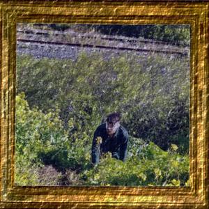 5Y (feat. Lukas Edelberg)