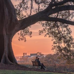 Various Artists-DusktillDawn（鹿Nero remix）