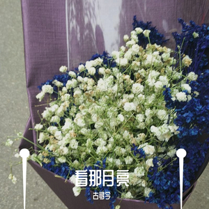 看月亮爬上来