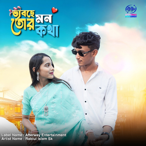 ভাবছে মন তোর কথা