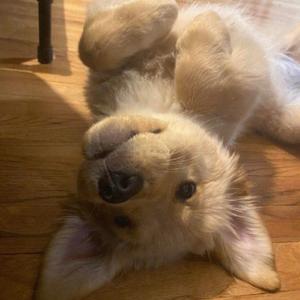 validation (feat. rans0m)