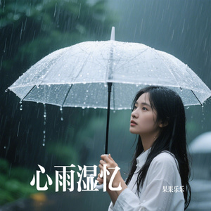 心雨湿忆