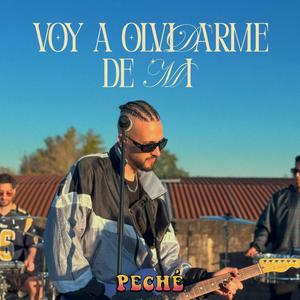 Voy a Olvidarme de Mi