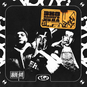 Эхо нашего худа