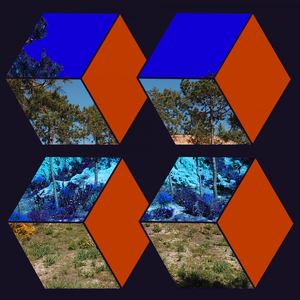 Forever Lost (Arude Remix)