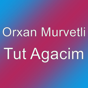 Tut Agacim