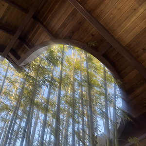 我如星，君如月(古琴).wav