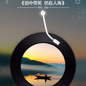 泪中带笑 仍在人海