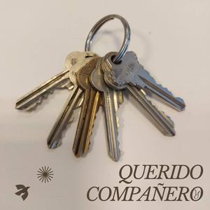 Querido compañero
