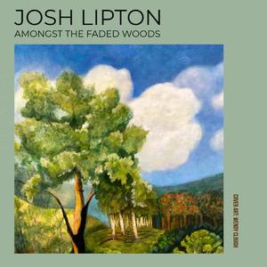 Amongst the Faded Woods