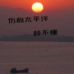 伤心太平洋（原唱：任贤齐）