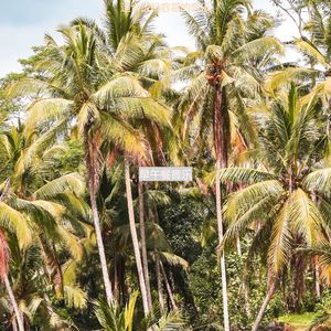 适合静止平衡的音乐