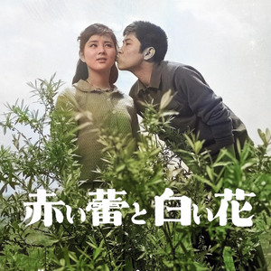 赤い蕾と白い花-M9