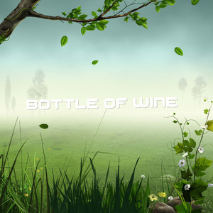 Bottle of Wine