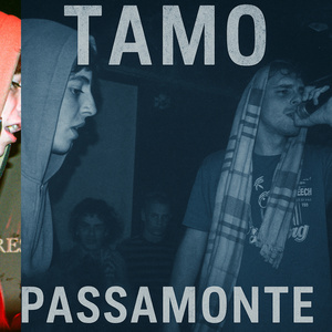 TAMO