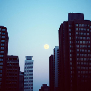 ビルの隙間に沈む月